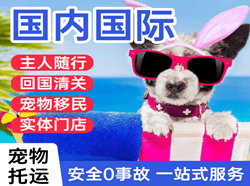 绵阳南郊机场邮寄国际宠物托运 【国